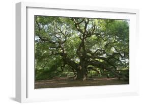 Angel Oak-Robert Goldwitz-Framed Photographic Print