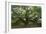 Angel Oak-Robert Goldwitz-Framed Photographic Print