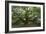 Angel Oak-Robert Goldwitz-Framed Photographic Print