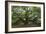 Angel Oak-Robert Goldwitz-Framed Photographic Print