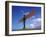 Angel of the North, Gateshead, Tyne and Wear, England-Robert Lazenby-Framed Photographic Print