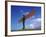 Angel of the North, Gateshead, Tyne and Wear, England-Robert Lazenby-Framed Photographic Print