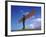 Angel of the North, Gateshead, Tyne and Wear, England-Robert Lazenby-Framed Photographic Print