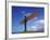 Angel of the North, Gateshead, Tyne and Wear, England-Robert Lazenby-Framed Photographic Print