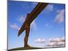 Angel of the North, Sculpture by Anthony Gormley, Newcastle-Upon-Tyne, Tyne and Wear, England-Neale Clarke-Mounted Photographic Print