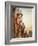 Angel Traveller (W/C)-Gustave Moreau-Framed Giclee Print