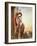 Angel Traveller (W/C)-Gustave Moreau-Framed Giclee Print