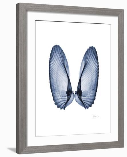 Angel Wings-Albert Koetsier-Framed Art Print