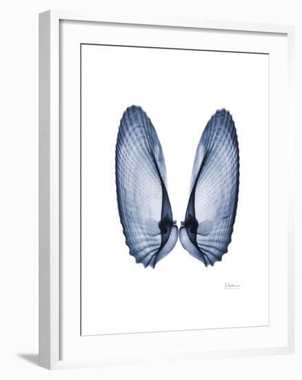 Angel Wings-Albert Koetsier-Framed Art Print