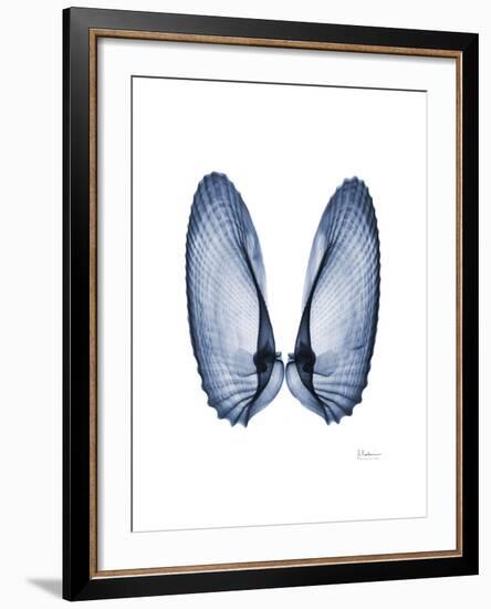 Angel Wings-Albert Koetsier-Framed Art Print