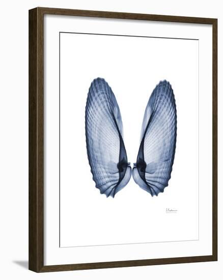 Angel Wings-Albert Koetsier-Framed Art Print