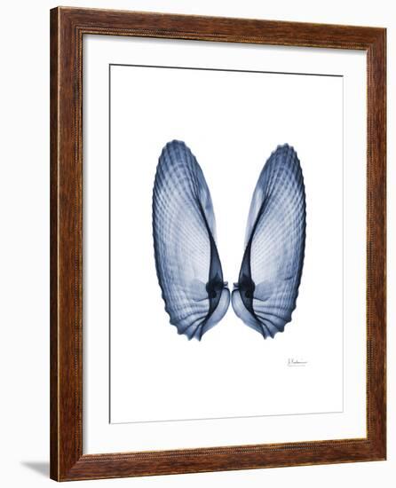 Angel Wings-Albert Koetsier-Framed Art Print