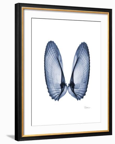 Angel Wings-Albert Koetsier-Framed Art Print