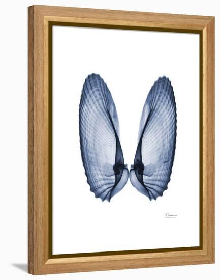 Angel Wings-Albert Koetsier-Framed Stretched Canvas