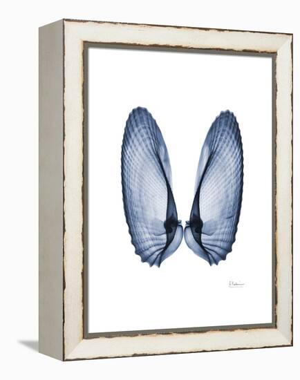 Angel Wings-Albert Koetsier-Framed Stretched Canvas
