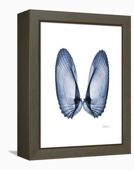 Angel Wings-Albert Koetsier-Framed Stretched Canvas