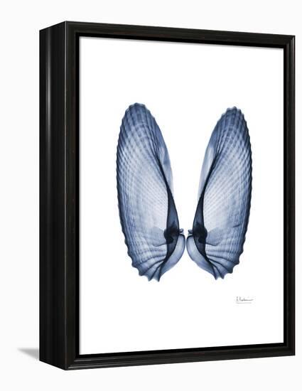 Angel Wings-Albert Koetsier-Framed Stretched Canvas