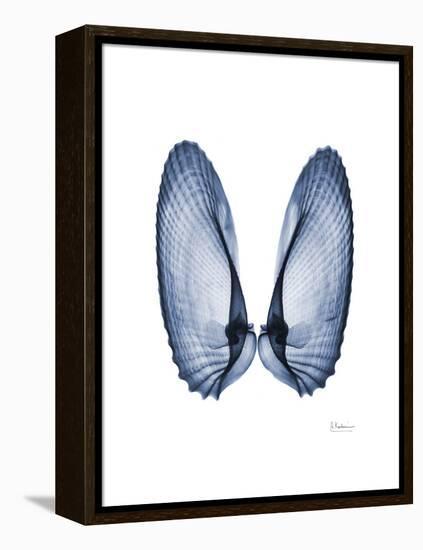 Angel Wings-Albert Koetsier-Framed Stretched Canvas