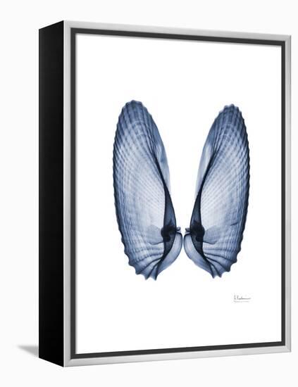 Angel Wings-Albert Koetsier-Framed Stretched Canvas