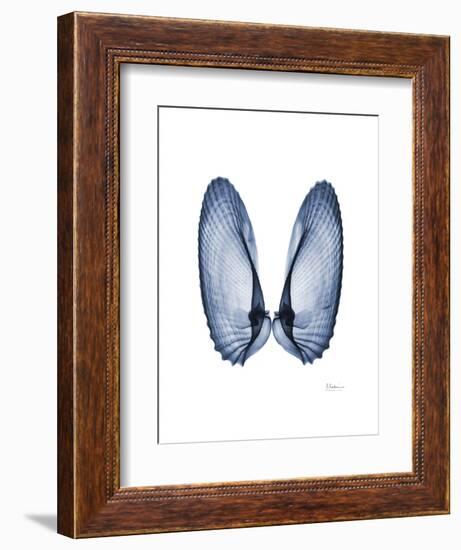 Angel Wings-Albert Koetsier-Framed Art Print