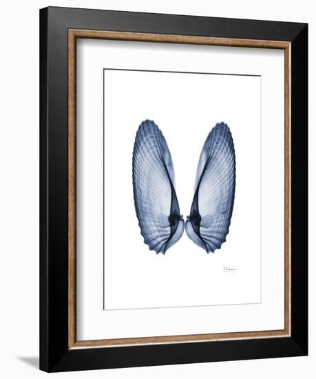 Angel Wings-Albert Koetsier-Framed Art Print