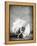 Angel-PhotoINC Studio-Framed Stretched Canvas