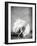 Angel-PhotoINC Studio-Framed Art Print