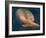 Angel-Italian School-Framed Giclee Print