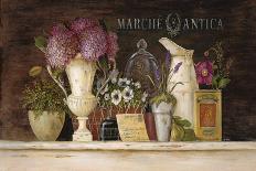 Marche Antica Vignette-Angela Staehling-Art Print