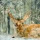 Premium Giclee Print