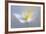 Angelic Flower-Heidi Westum-Framed Photographic Print