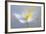 Angelic Flower-Heidi Westum-Framed Photographic Print