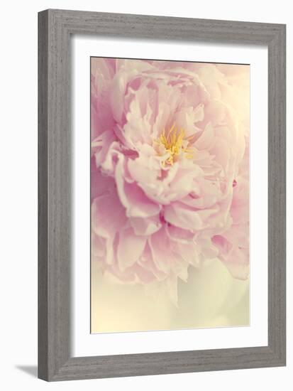 Angelic Petals-Sarah Gardner-Framed Photographic Print