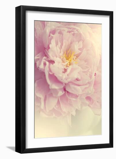 Angelic Petals-Sarah Gardner-Framed Photographic Print