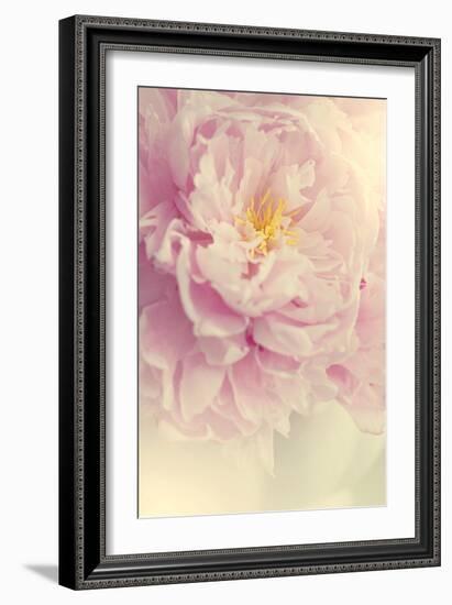 Angelic Petals-Sarah Gardner-Framed Photographic Print