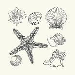 Hand- Drawn Shells Set-Angelina Stoykova-Premium Giclee Print