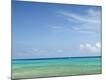 Premium Photographic Print
