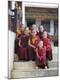 Photographic Print