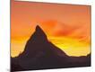 Photographic Print
