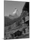 Photographic Print
