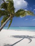 Drying Laundry on the Beach, St. Lucia-Angelo Cavalli-Photographic Print