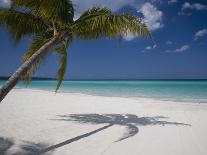 Tropical Beach, La Digue Island, Seychelles-Angelo Cavalli-Photographic Print