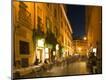 Photographic Print