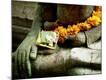 Premium Photographic Print