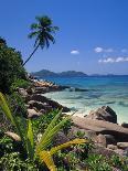 Tropical Beach, La Digue Island, Seychelles-Angelo Cavalli-Photographic Print