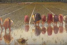 For 80 Cents, Row of Women Workers in a Rice Field, 1893-Angelo Morbelli-Art Print