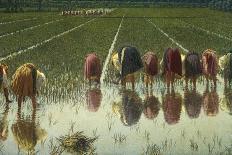Women Rice Harvesters in the Paddy Field-Angelo Morbelli-Art Print