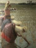 Women Rice Harvesters in the Paddy Field-Angelo Morbelli-Art Print