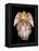 Angels 1-Edgar Jerins-Framed Premier Image Canvas