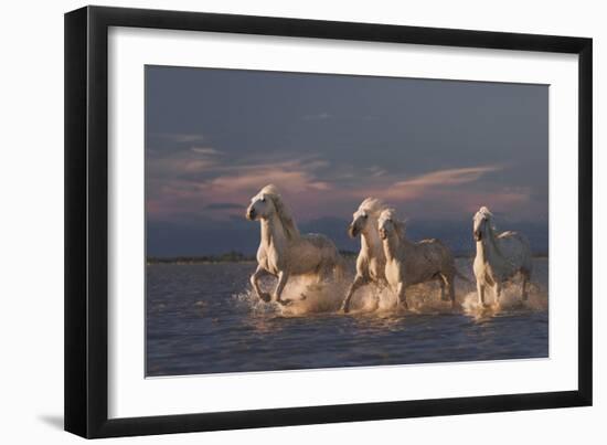 Angels Of Camargue-Rostovskiy Anton-Framed Giclee Print